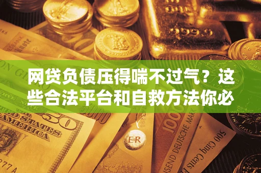 武汉网贷负债压得喘不过气？这些合法平台和自救方法你必须知道！
